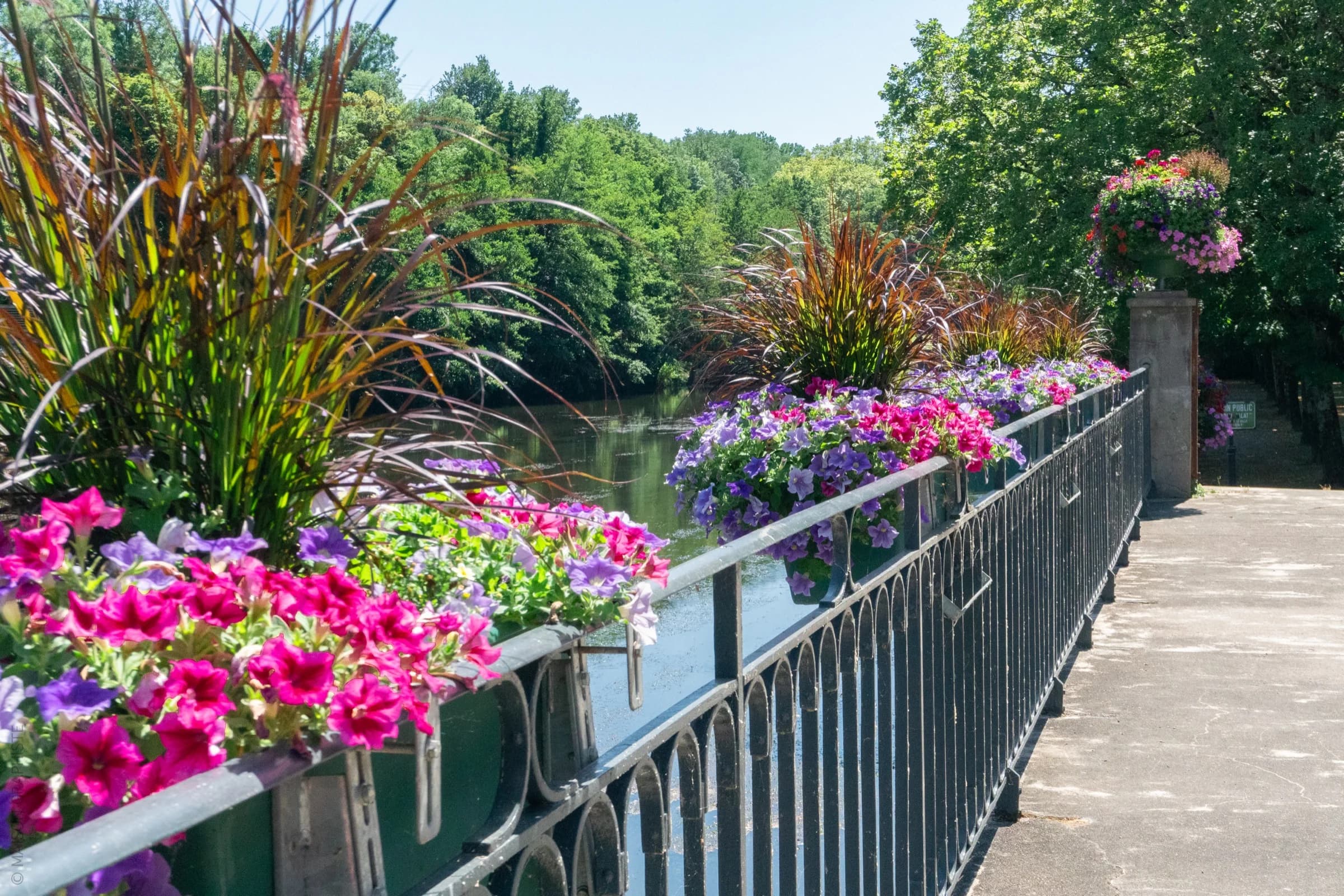 Pont fleuri de Roquecourbe sur l'Agout